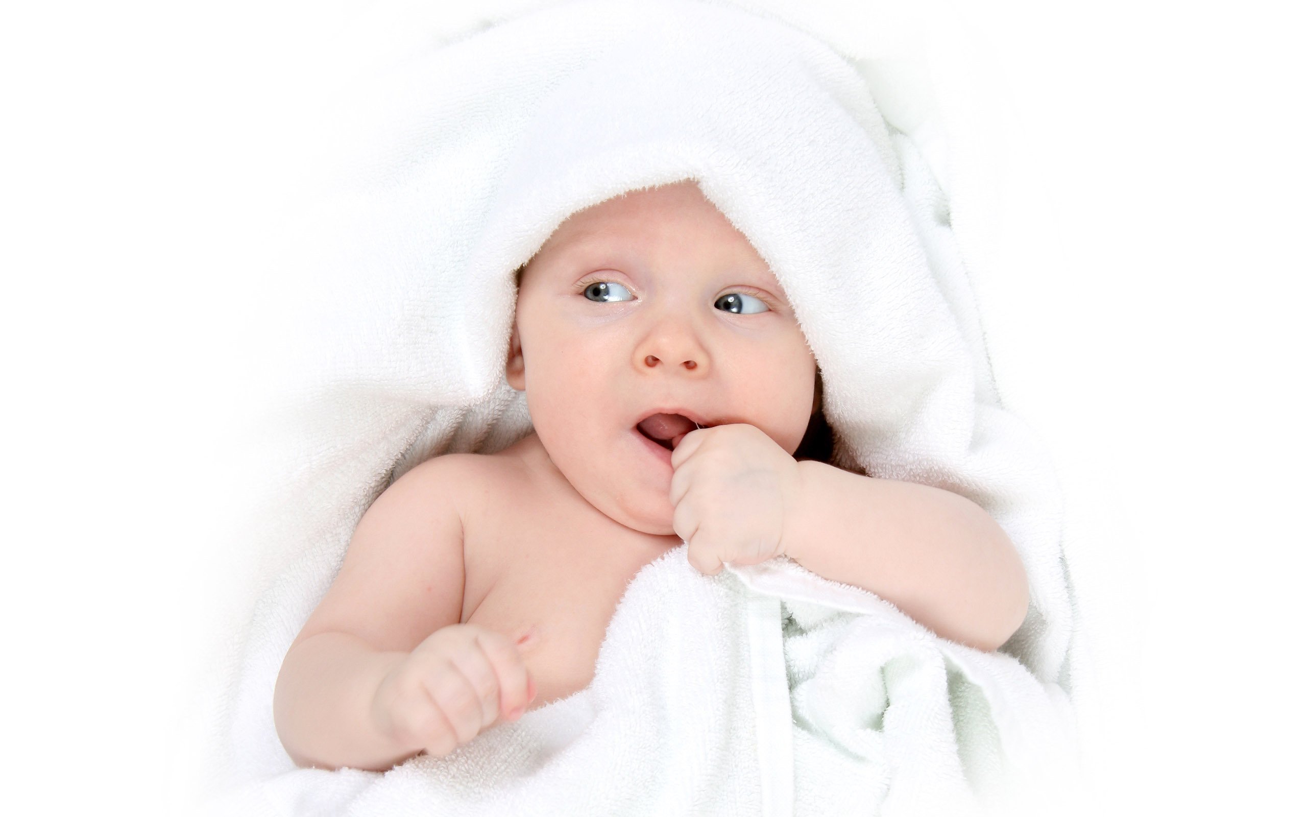 遵义供卵代怀试管婴儿成功率有多高